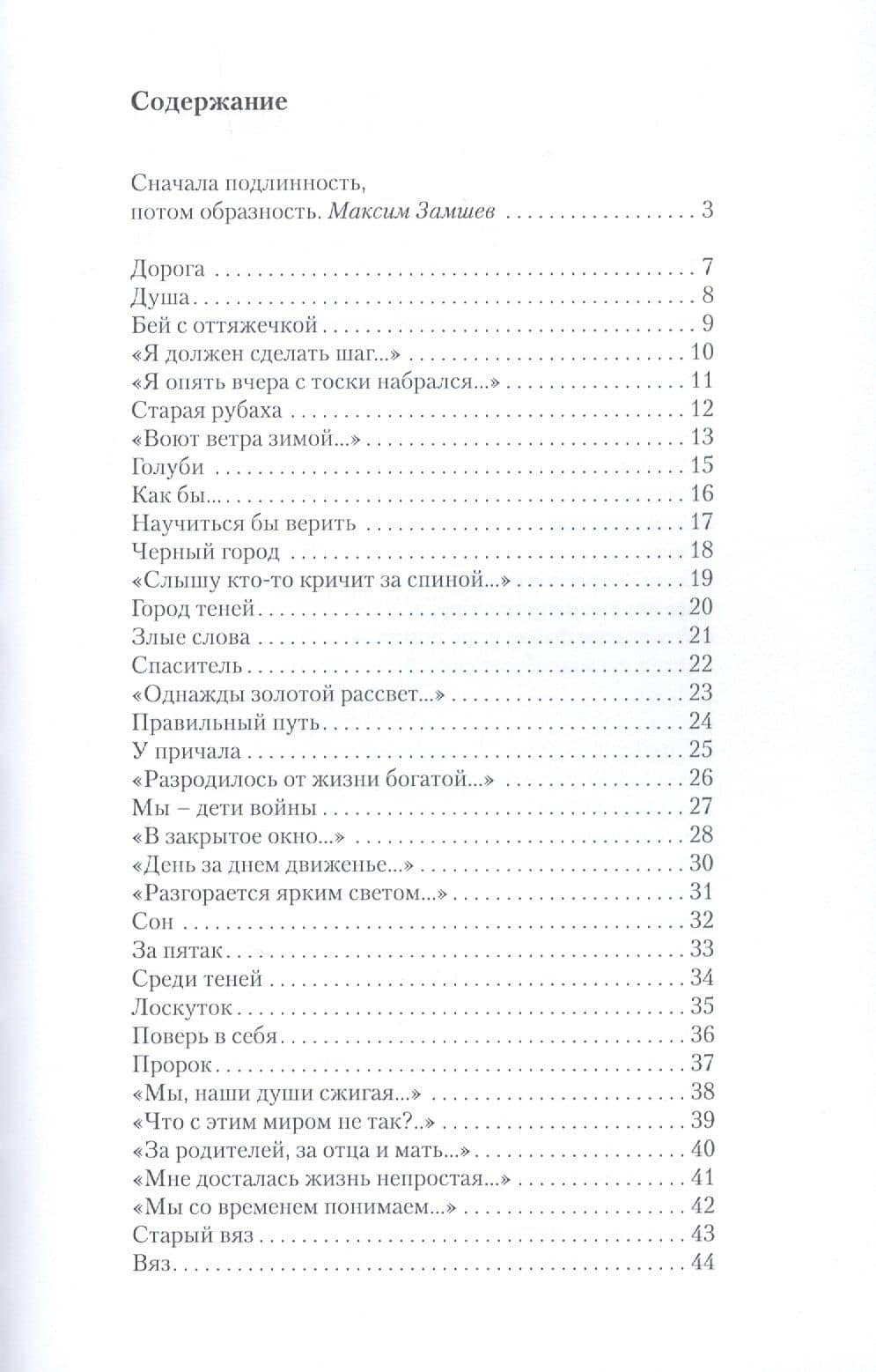 Дорога — Виталий Григорьевич Лиходед (2)