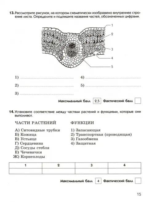 Биология. 6 класс. Диагностические работы к учебнику В. В. Пасечника. ФГОС — Пасечкин В.В. (3)