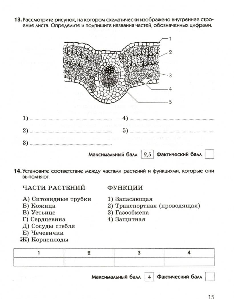 Биология. 6 класс. Диагностические работы к учебнику В. В. Пасечника. ФГОС — Пасечкин В.В. (3)