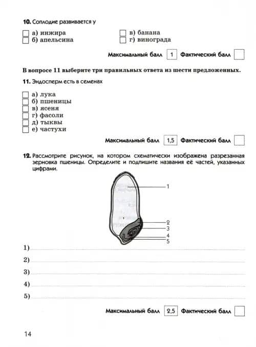 Биология. 6 класс. Диагностические работы к учебнику В. В. Пасечника. ФГОС — Пасечкин В.В. (2)