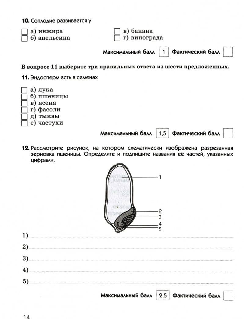 Биология. 6 класс. Диагностические работы к учебнику В. В. Пасечника. ФГОС — Пасечкин В.В. (2)