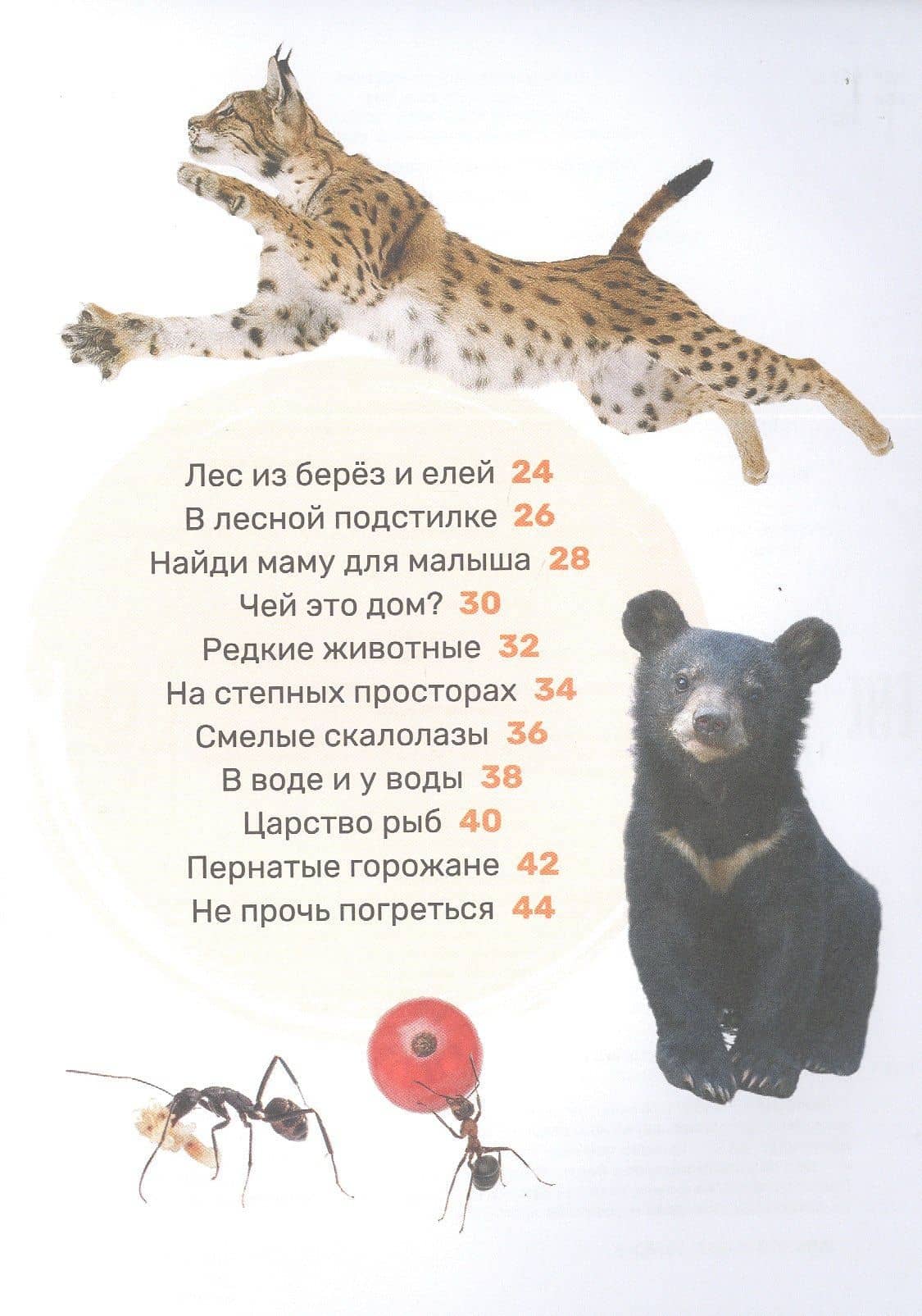 Животные — Лариса Владимировна Клюшник (3)