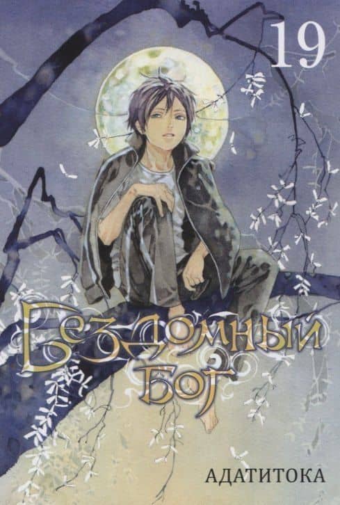 Бездомный бог. Том 19 (Noragami). Манга — Адатитока