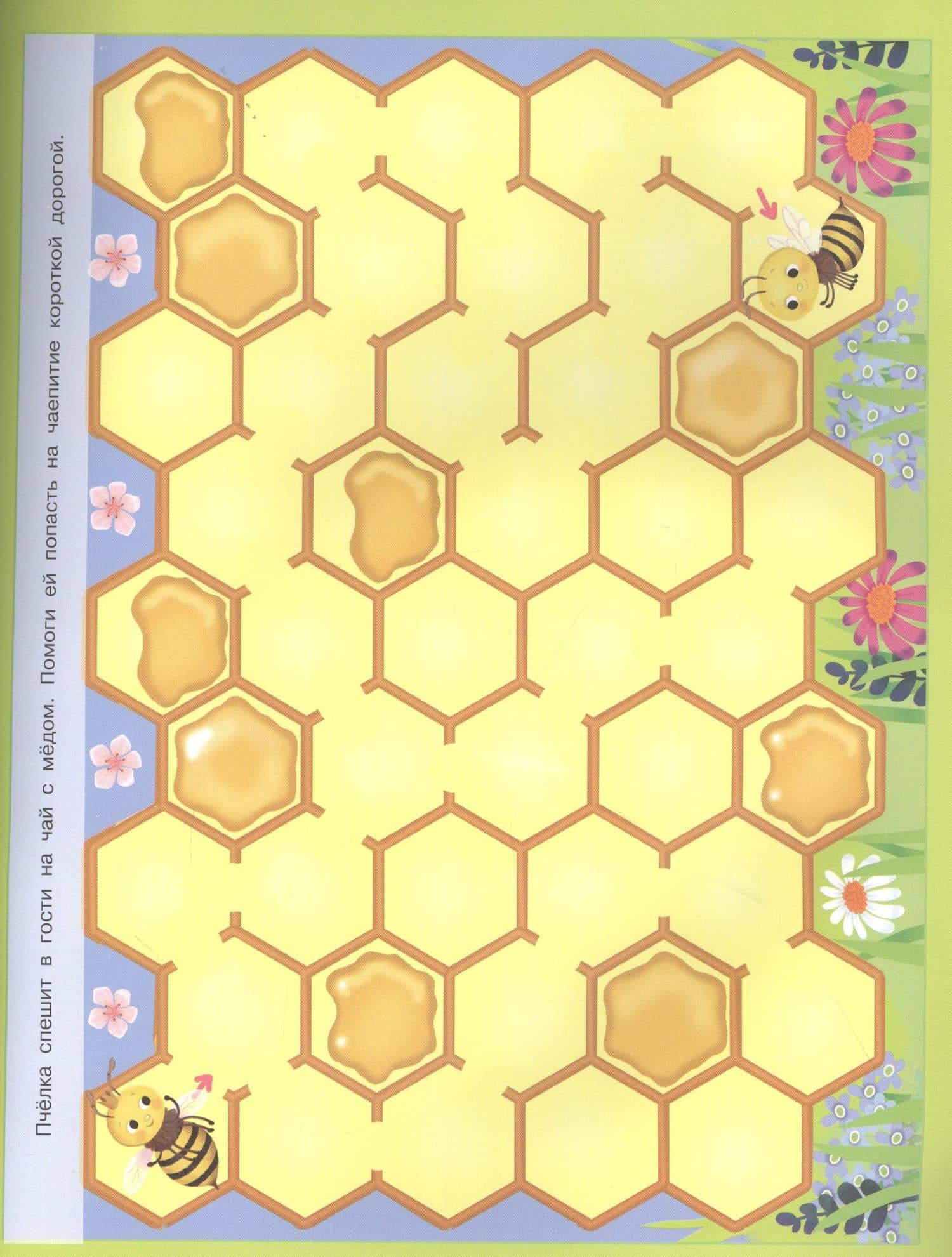 Развивающие игры. Морские животные — Иллария Барсотти (3)