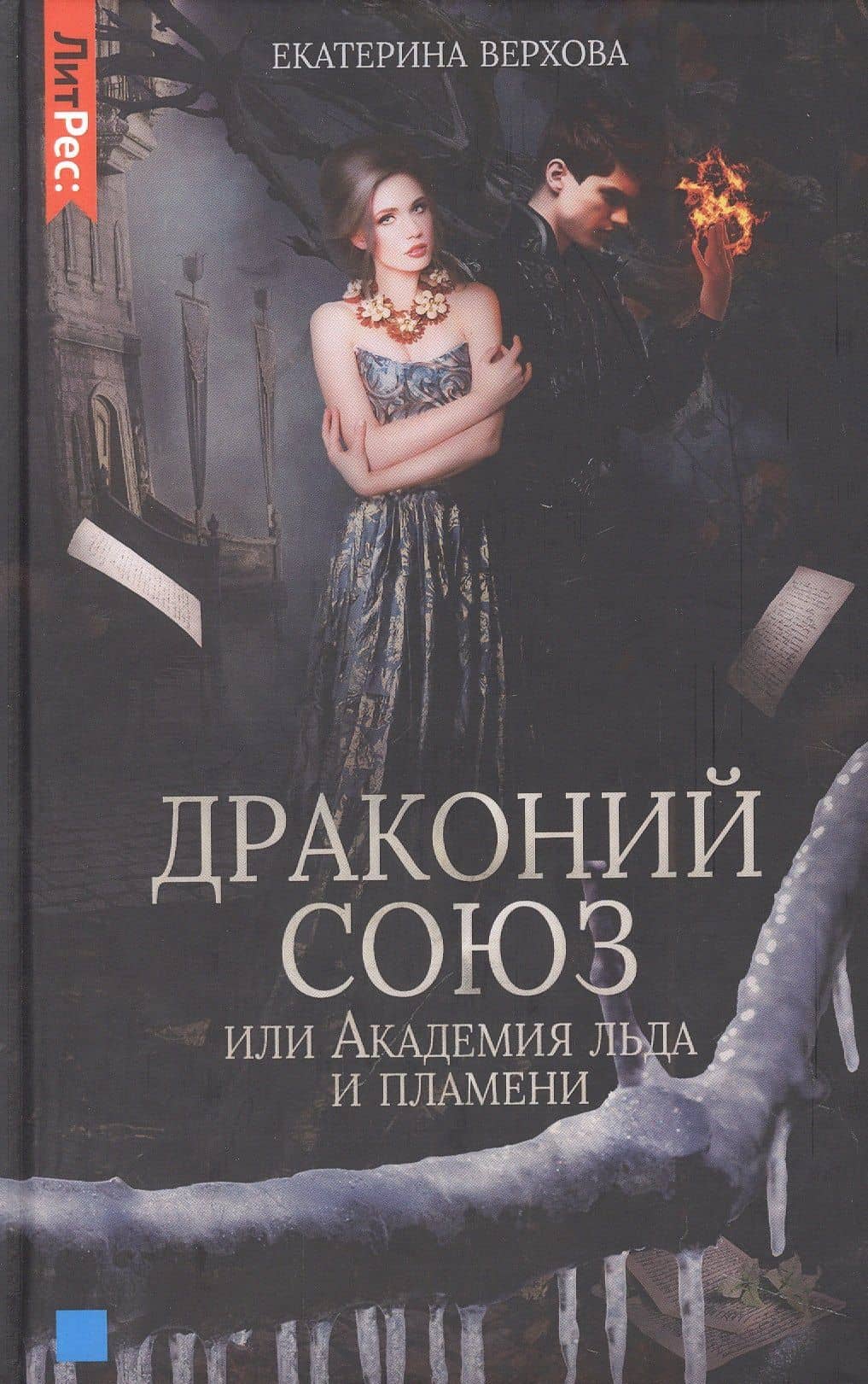Драконий союз, или Академия льда и пламени — Екатерина Верхова