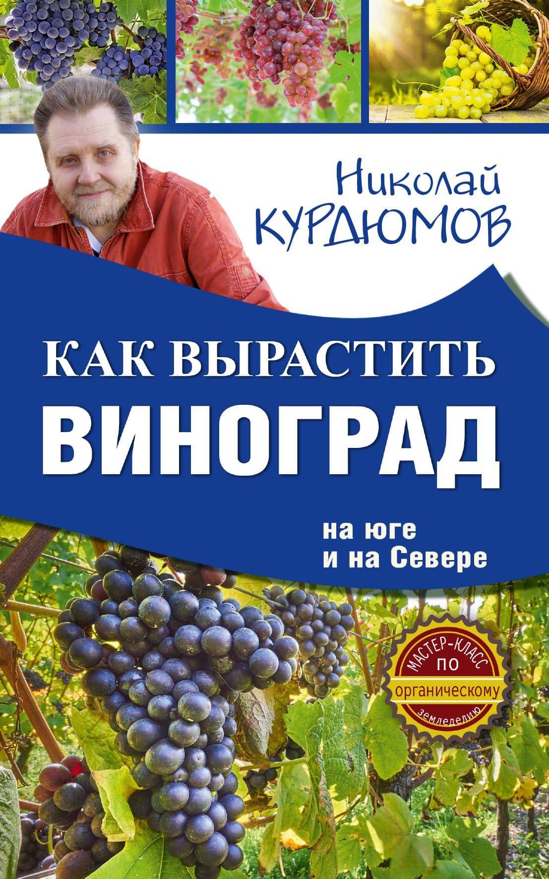 Как вырастить виноград на Юге и на Севере
