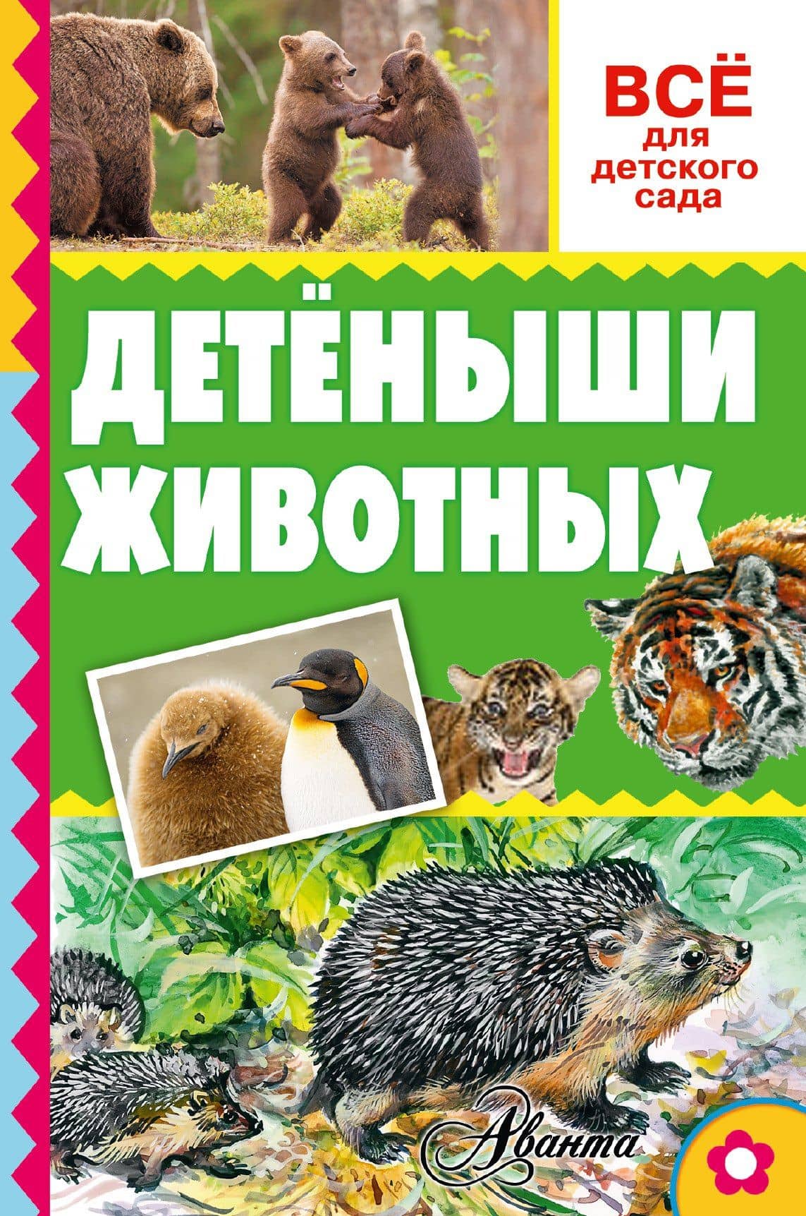 Обложка книги