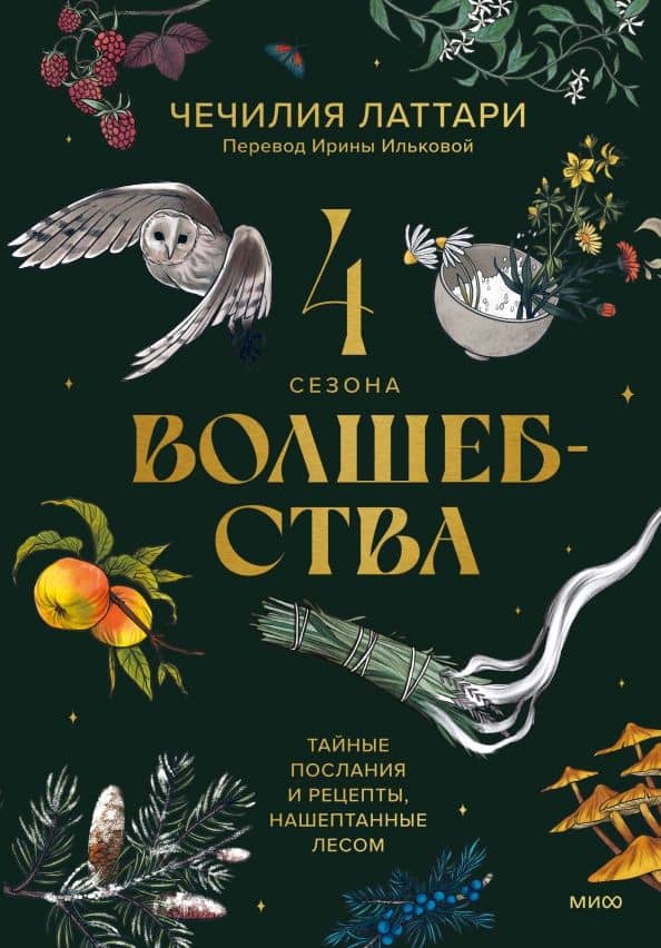 Четыре сезона волшебства. Тайные послания и рецепты, нашептанные лесом