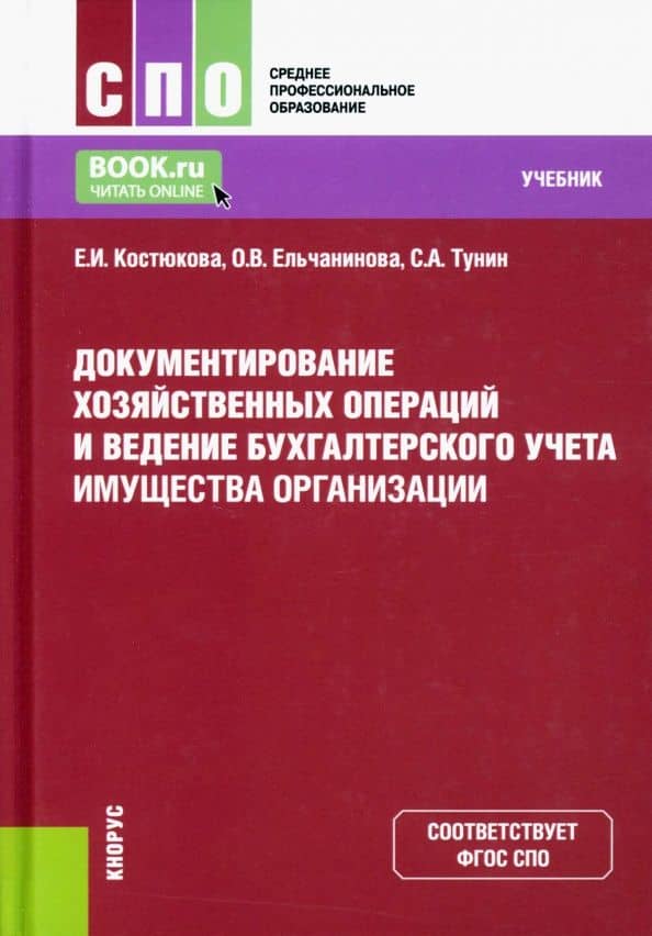 Документирование хозяйственных операций и ведение бухгалтерского учета имущества организации — Ольга Викторовна Ельчанинова