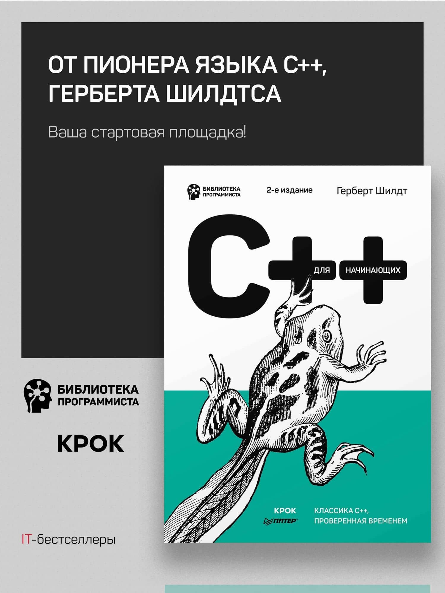 C++ для начинающих. 2-е изд. — Герберт Шилдт (3)