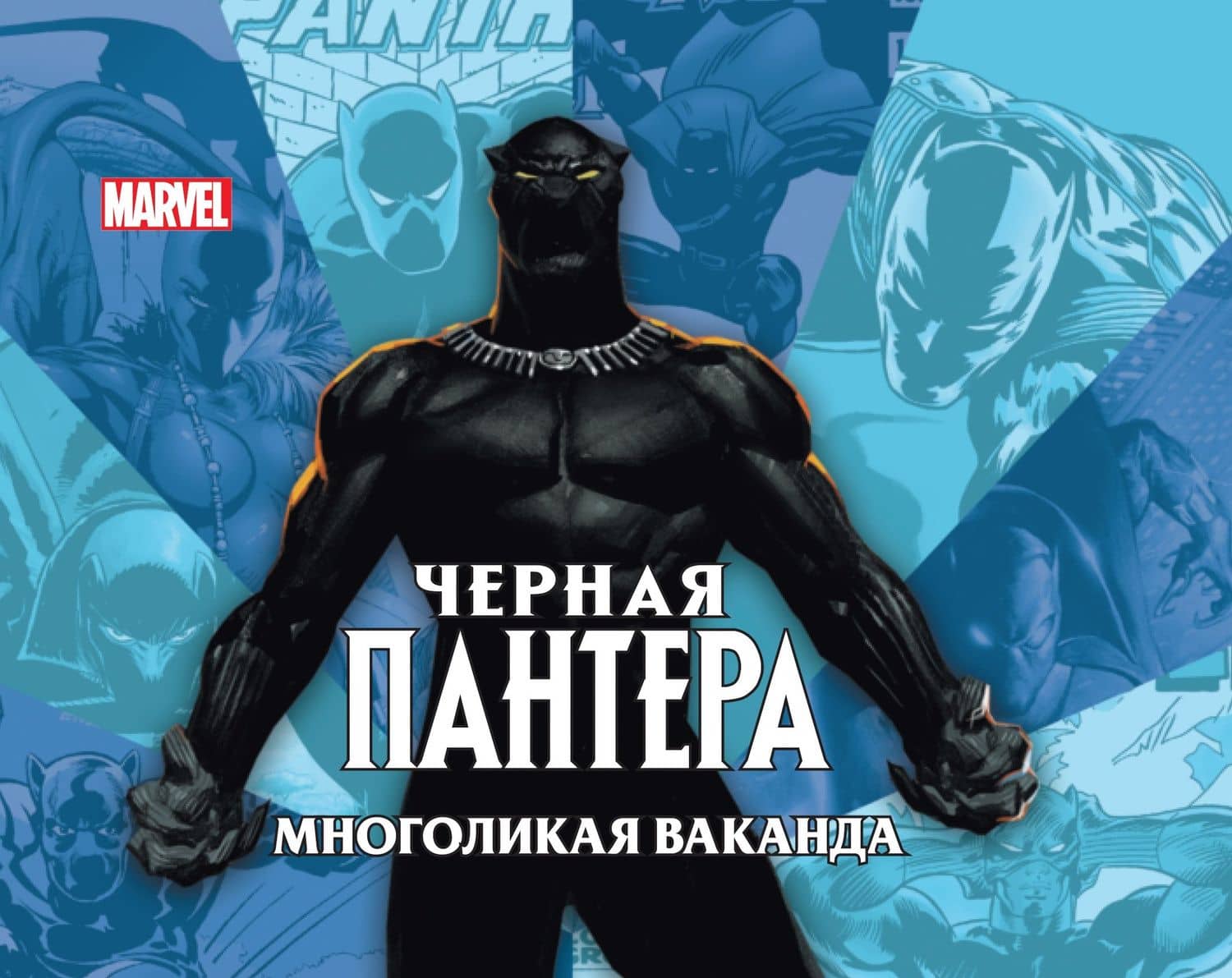 Чёрная пантера: многоликая Ваканда. — Джесс Хэрролд
