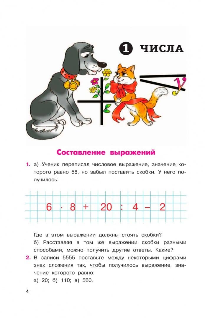 Математика. 5-6 классы. Задачи на смекалку — Александр Владимирович Шевкин (2)