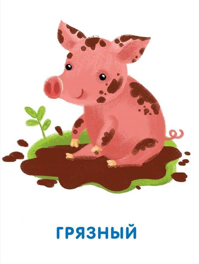 Подбери картинки. Противоположности (36 карточек) (3)