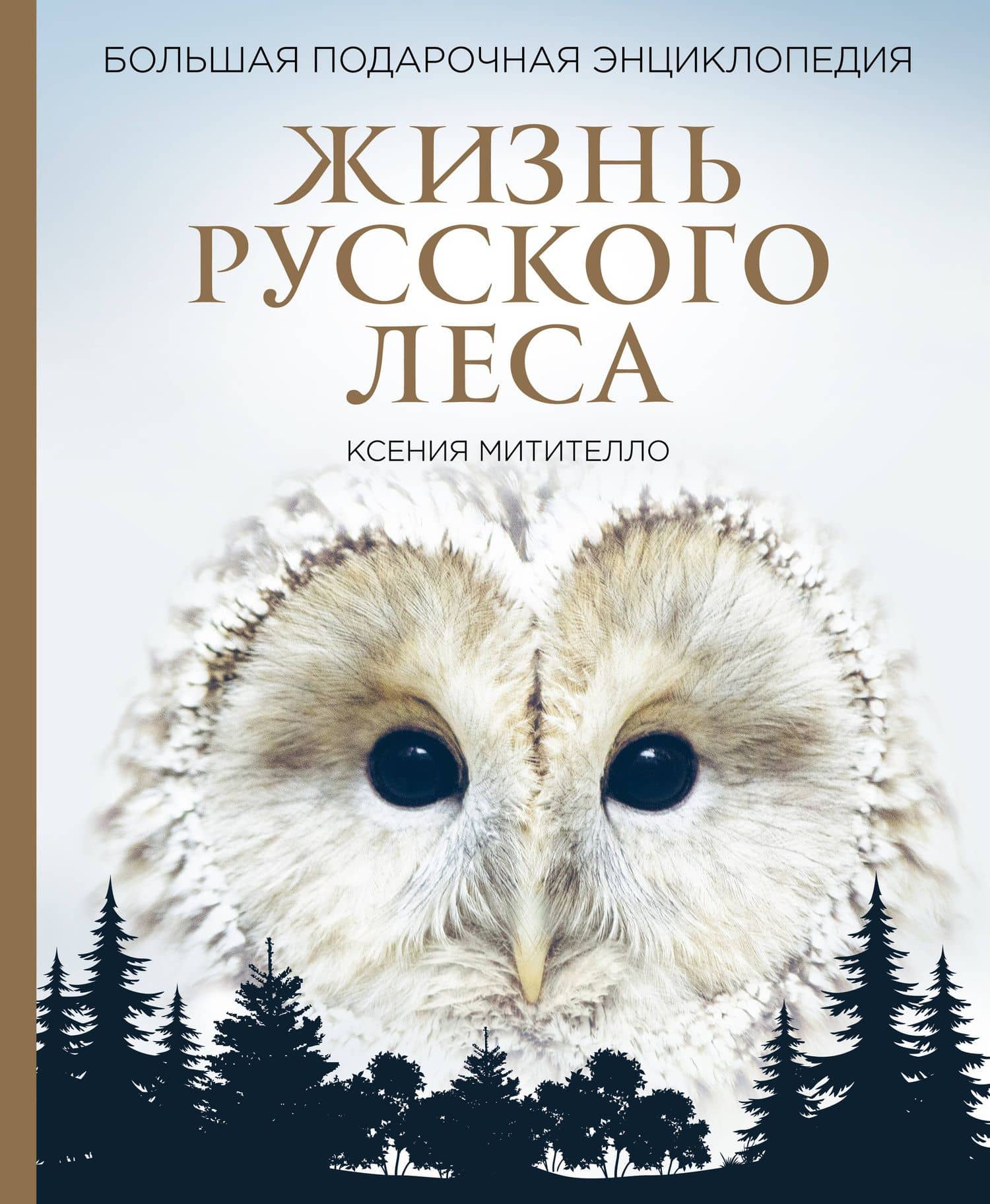Жизнь русского леса. Большая подарочная энциклопедия (сова)