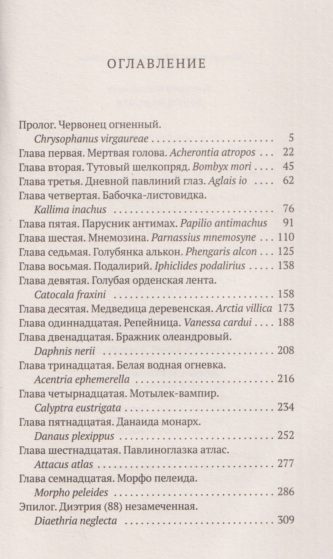 Ловец бабочек (3)