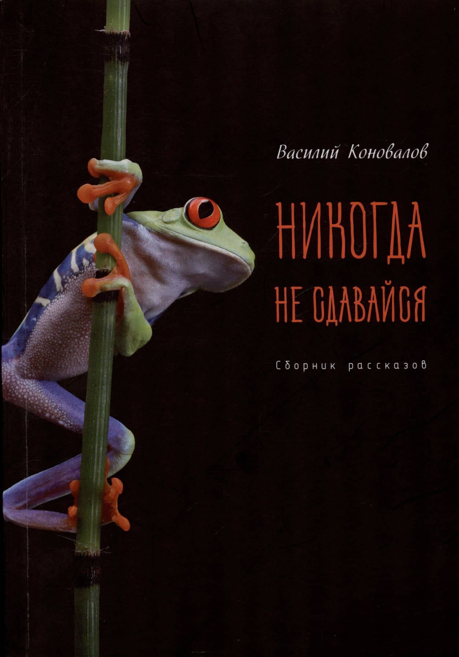 Никогда не сдавайся — Василий Михайлович Коновалов