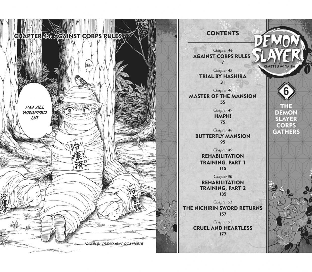Demon Slayer. Kimetsu no Yaiba. Volume 6 — Koyoharu Gotouge (3)
