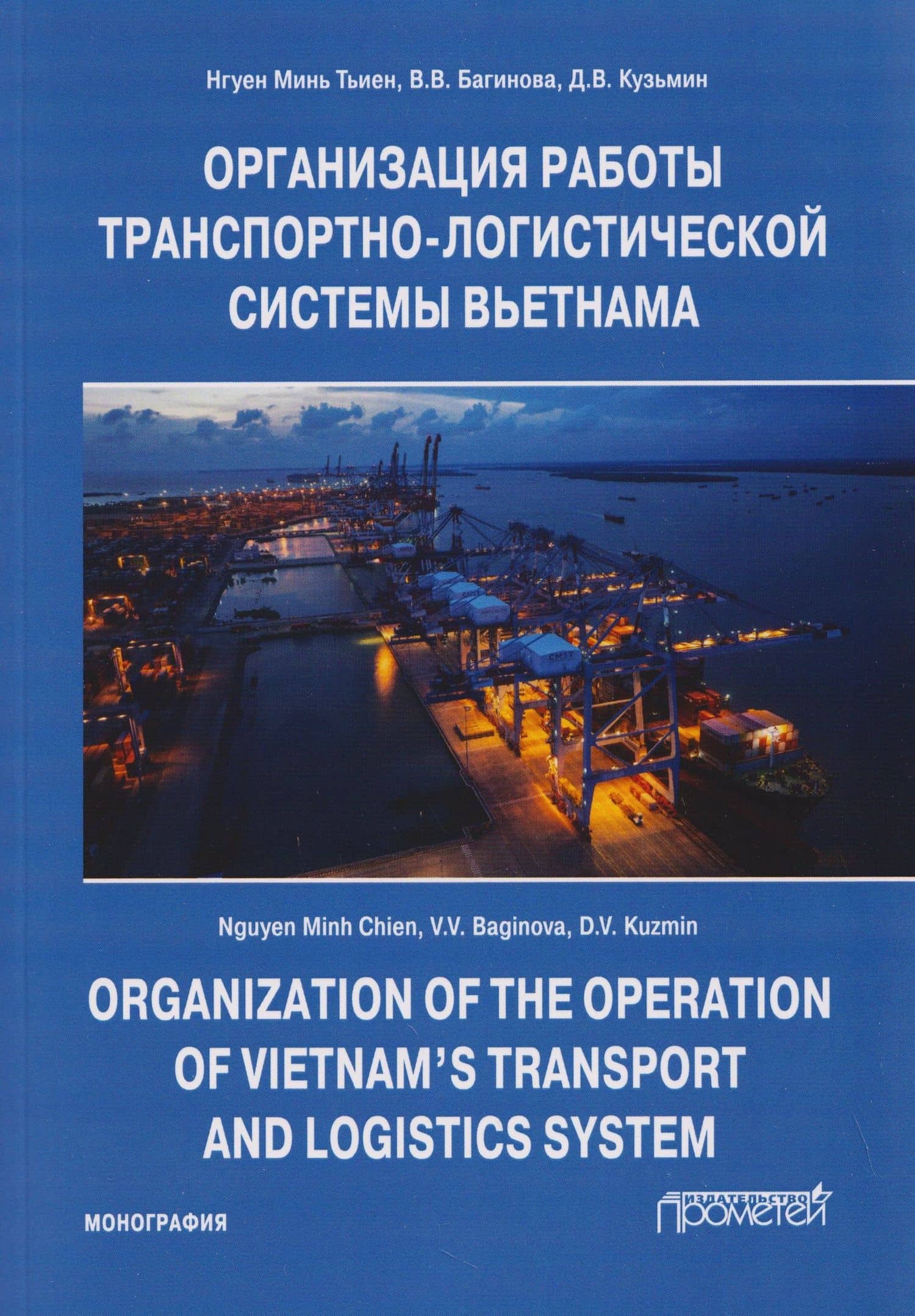 Организация работы транспортно-логистической системы Вьетнама: Монография — Вера Владимировна Багинова