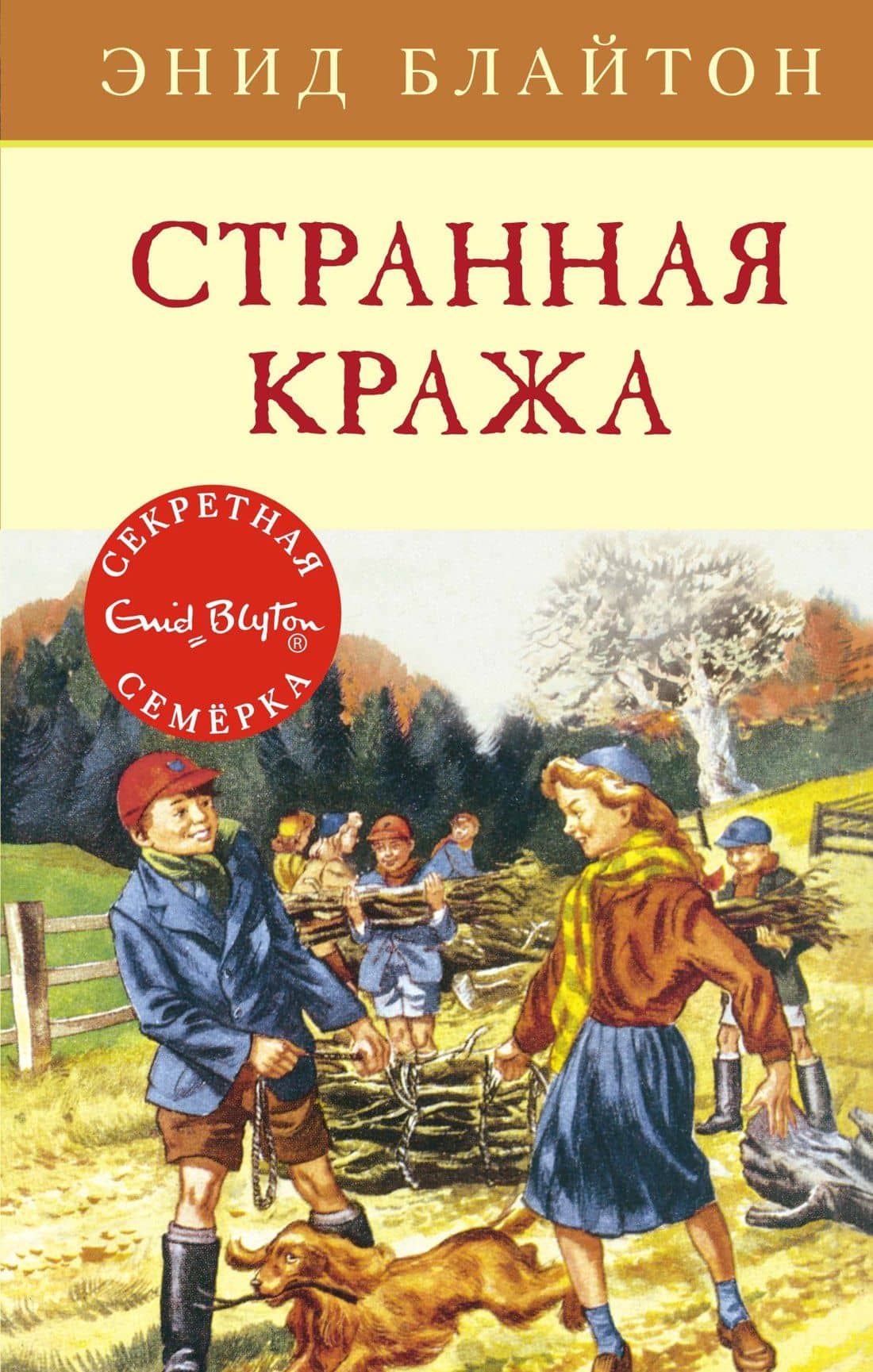 Странная кража — Энид Мэри Блайтон