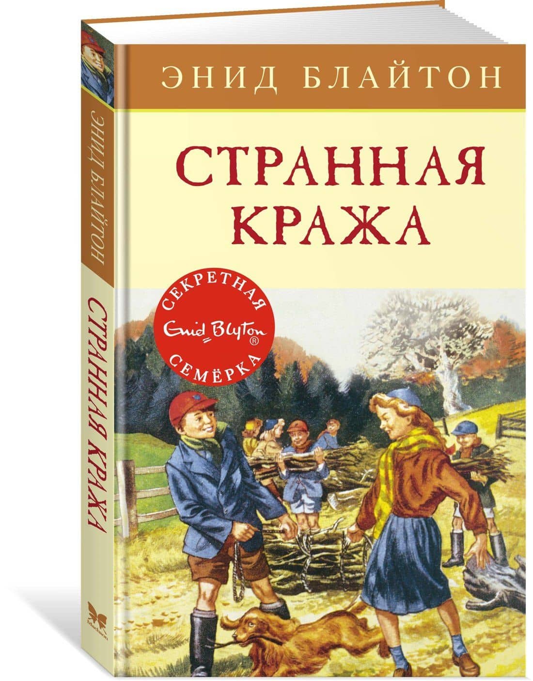 Странная кража — Энид Мэри Блайтон (2)
