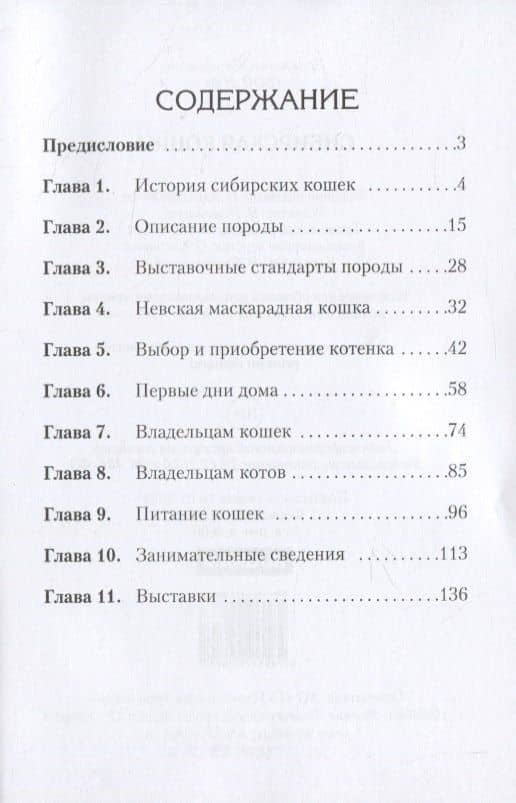 Сибирская кошка — Андрей Александрович Беляченко (2)