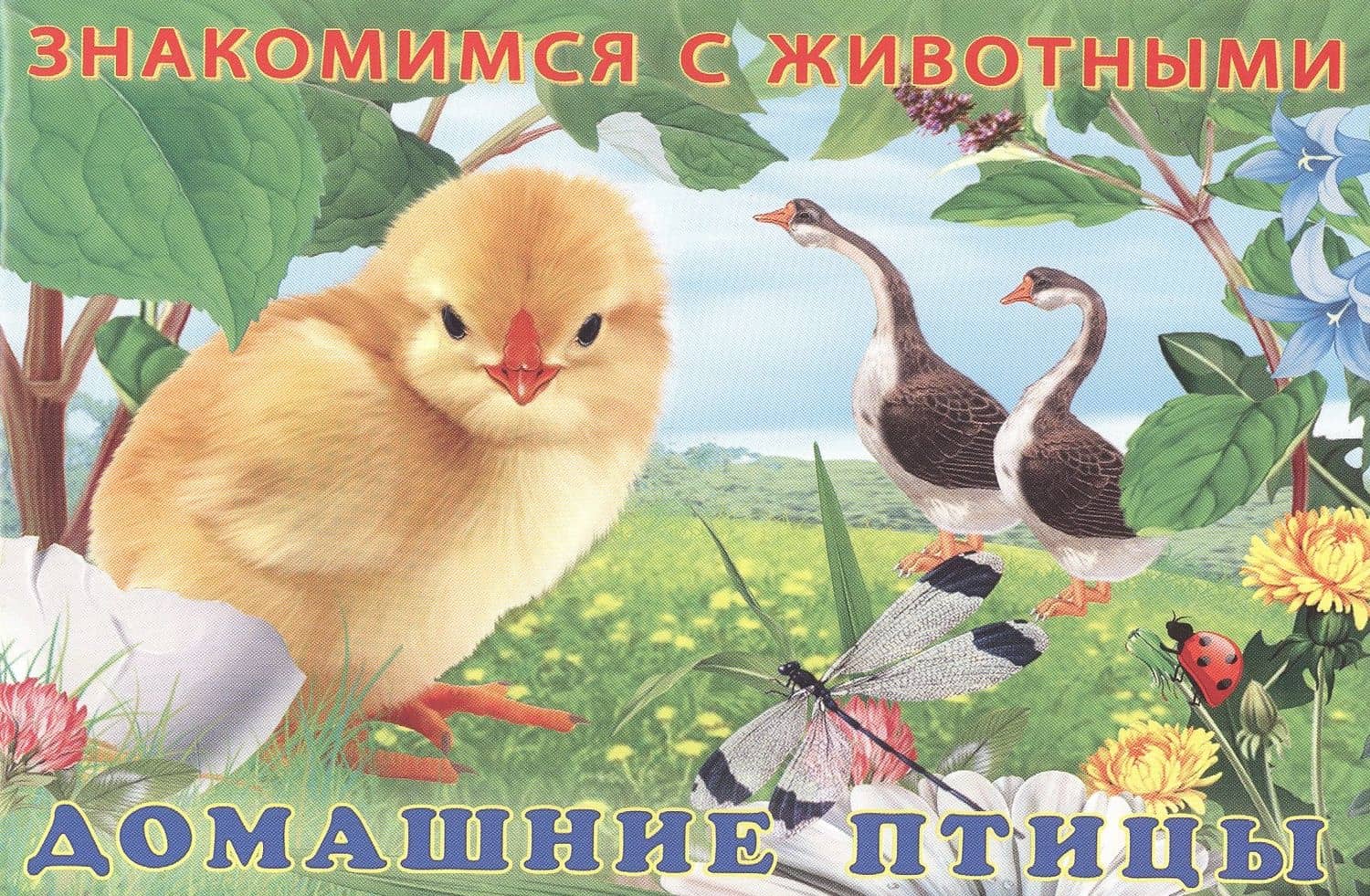 Домашние птицы