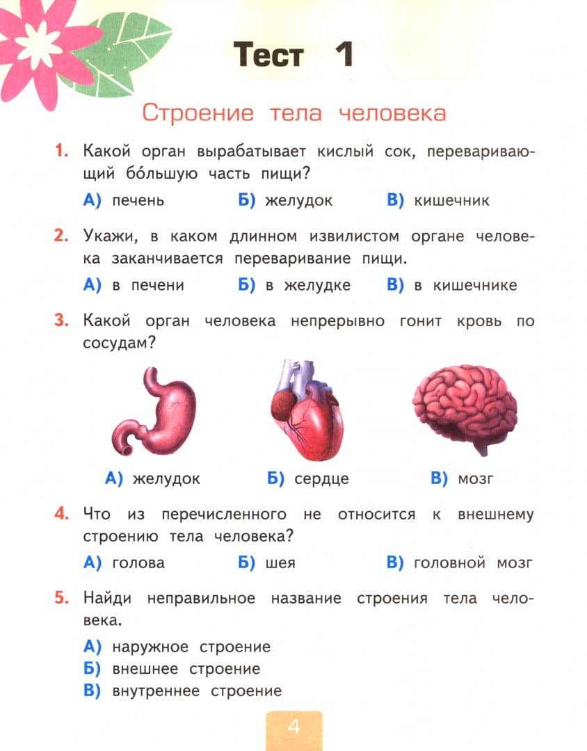 Окружающий мир. 2 класс. Тесты к учебнику А. А. Плешакова. В 2-х частях. Часть 2 — Елена Михайловна Тихомирова (2)