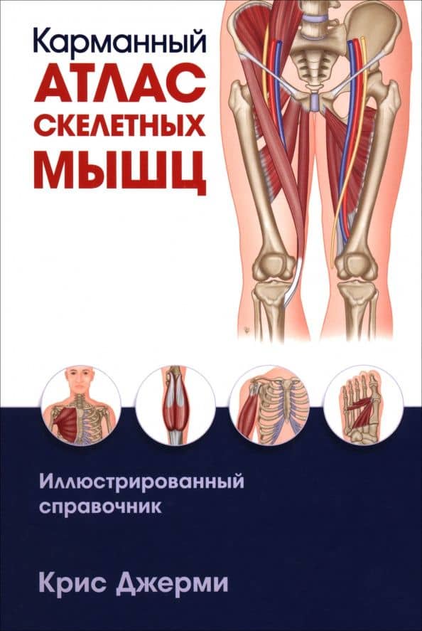 Карманный атлас скелетных мышц. Иллюстрированный справочник — Крис Джерми