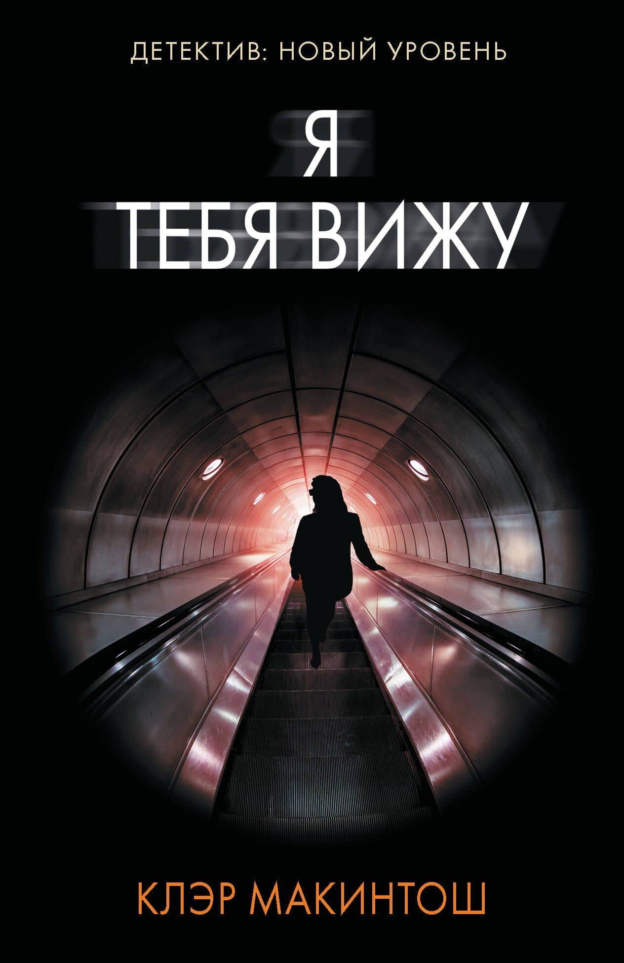 Я тебя вижу — Клер Макинтош
