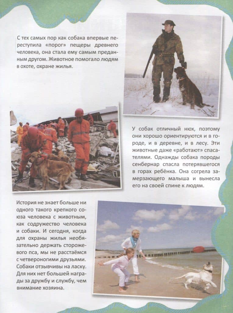 Питомцы (3)