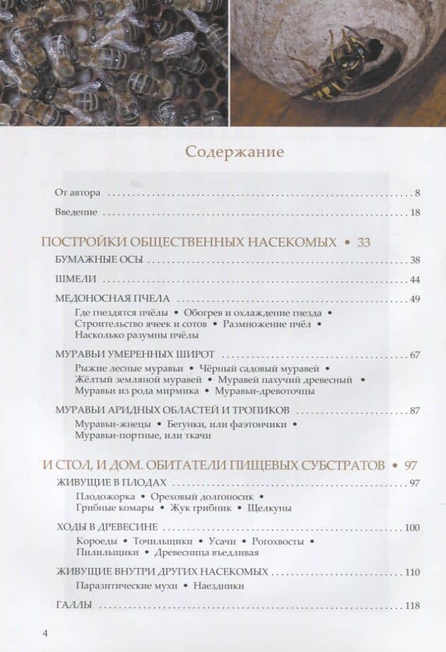 Пчелы, осы, пауки и другие строители — Владимир Карцев (2)