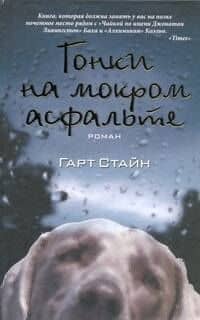 Гонки на мокром асфальте