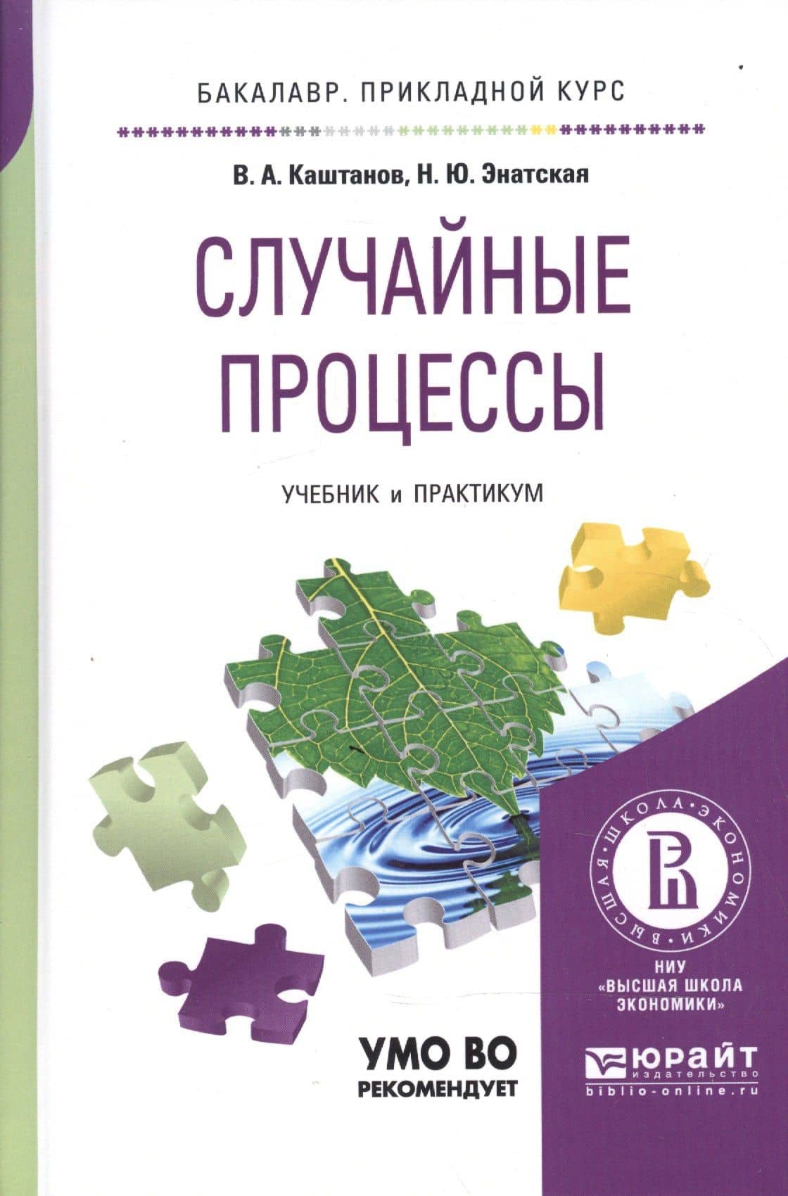 Случайные процессы Учебник и практикум (БакалаврПК) Каштанов