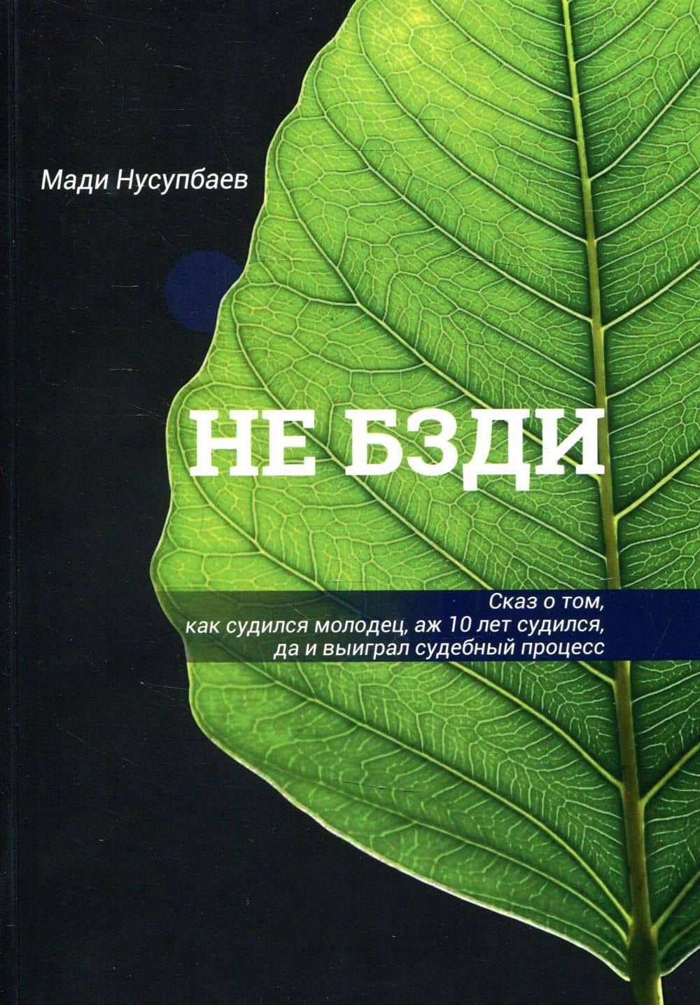 НЕ БЗДИ Сказ о том, как судился молодец, аж 10 лет судился, да и выиграл судебный процесс — Мади Нусупбаев