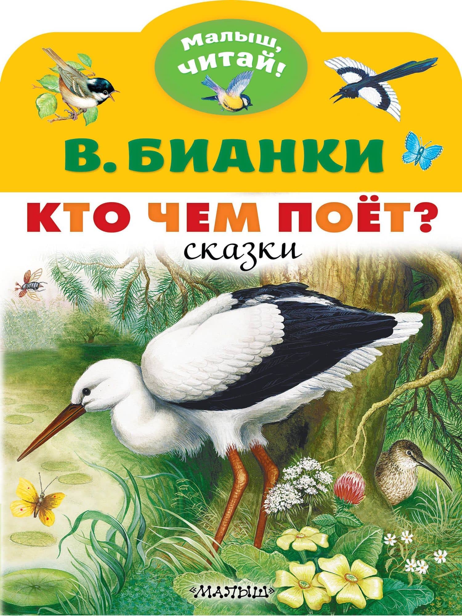 Кто чем поёт? — Виталий Валентинович Бианки
