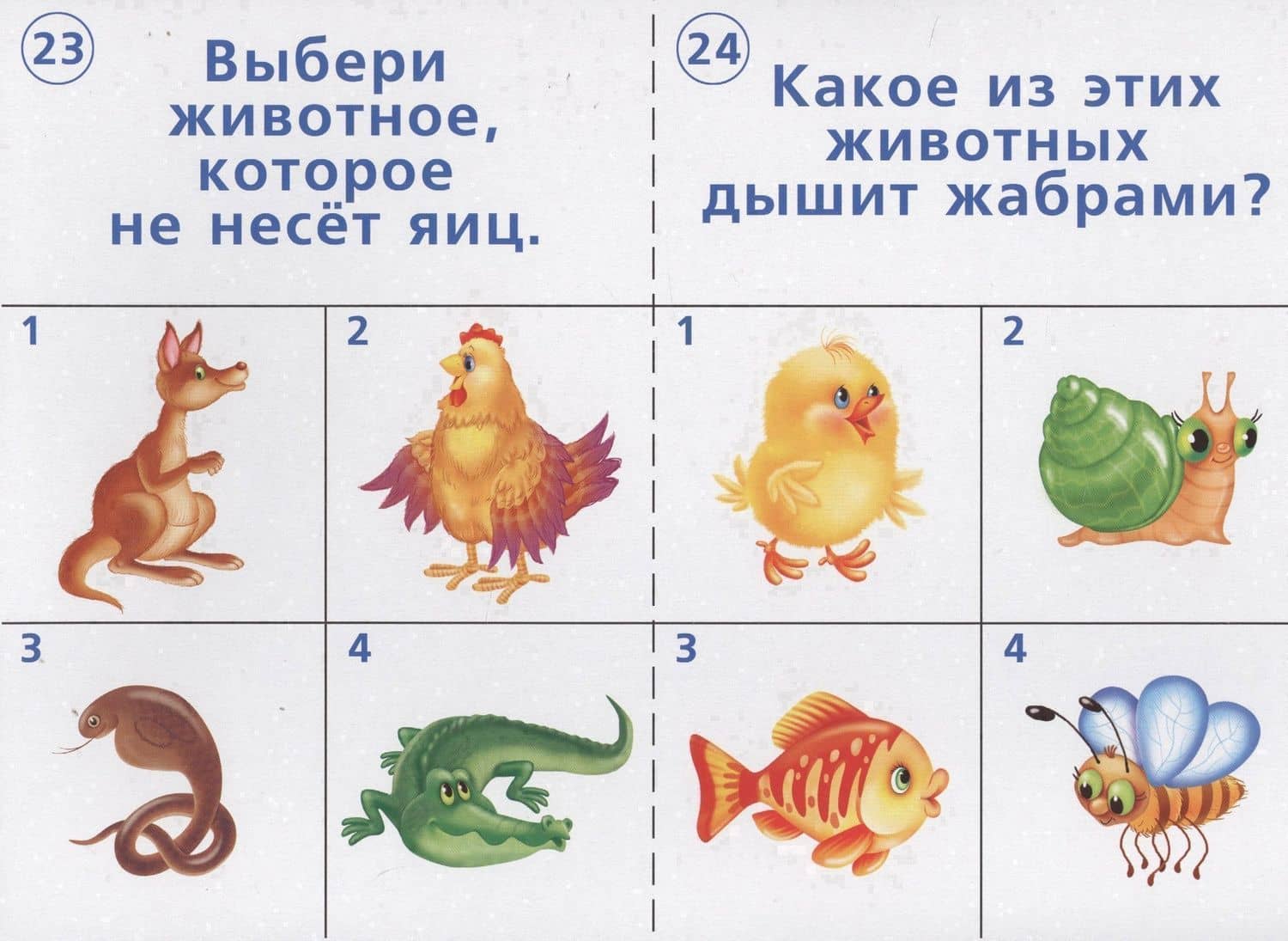 Готов ли ты к школе? Окружающий мир. Природа. 5-7 лет. Тестовые задания для проверки знаний детей (3)