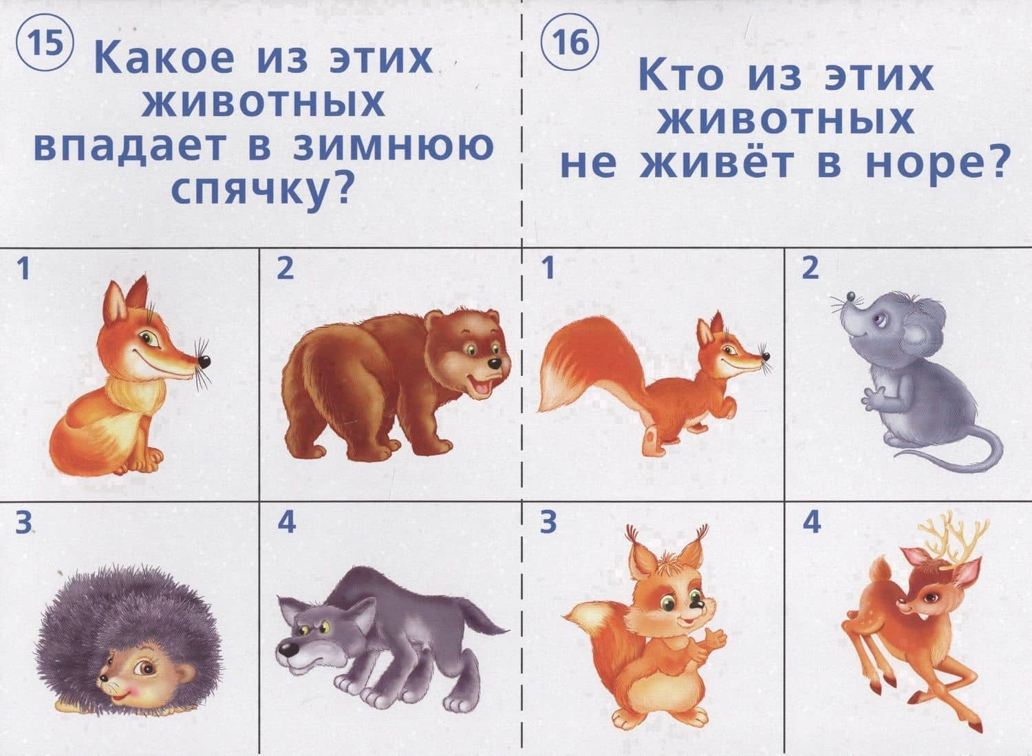 Готов ли ты к школе? Окружающий мир. Природа. 5-7 лет. Тестовые задания для проверки знаний детей (2)