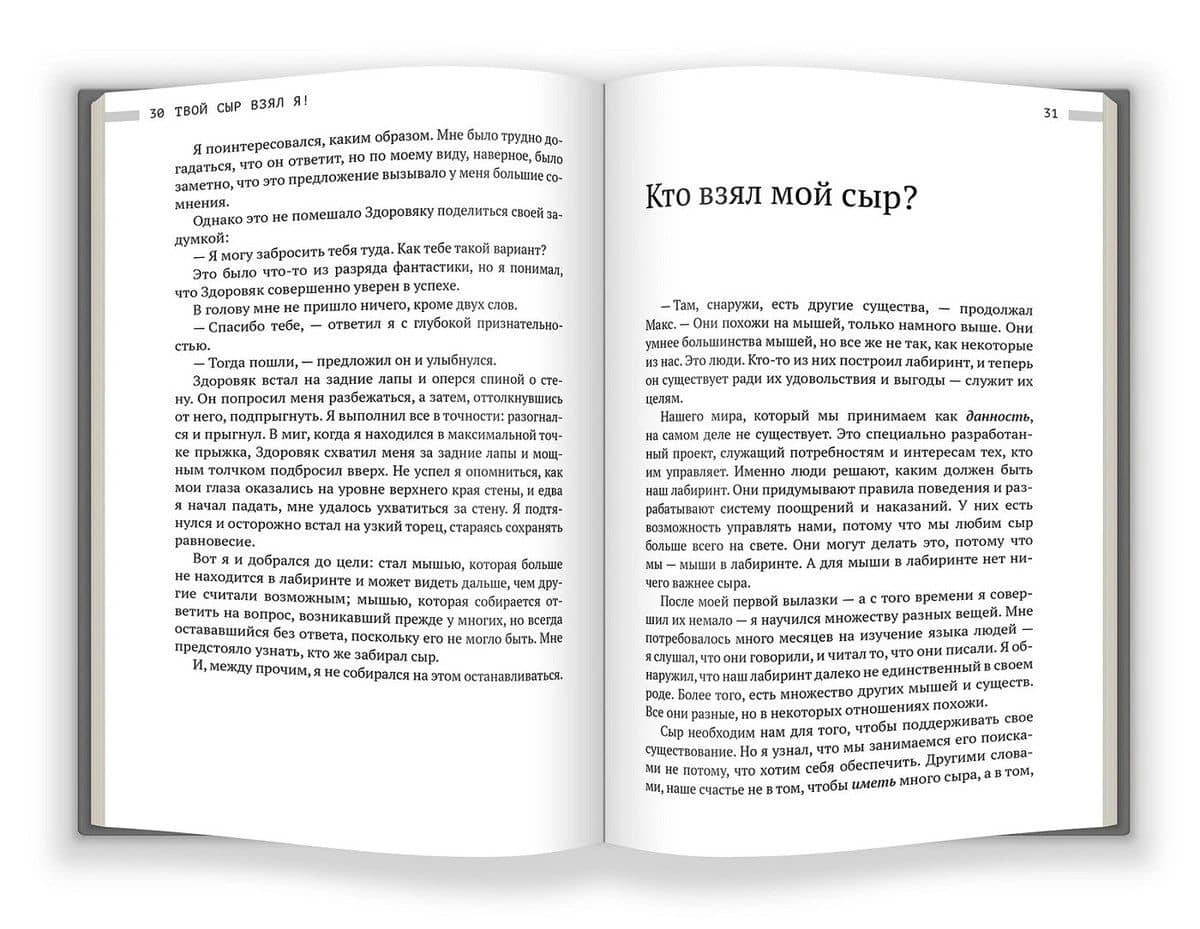 Твой сыр взял я! — Дипак Малхотра (3)