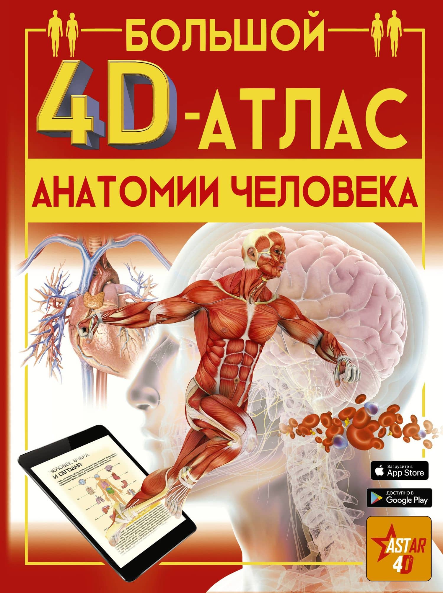 Большой 4D-атлас анатомии человека — Анна Артуровна Спектор