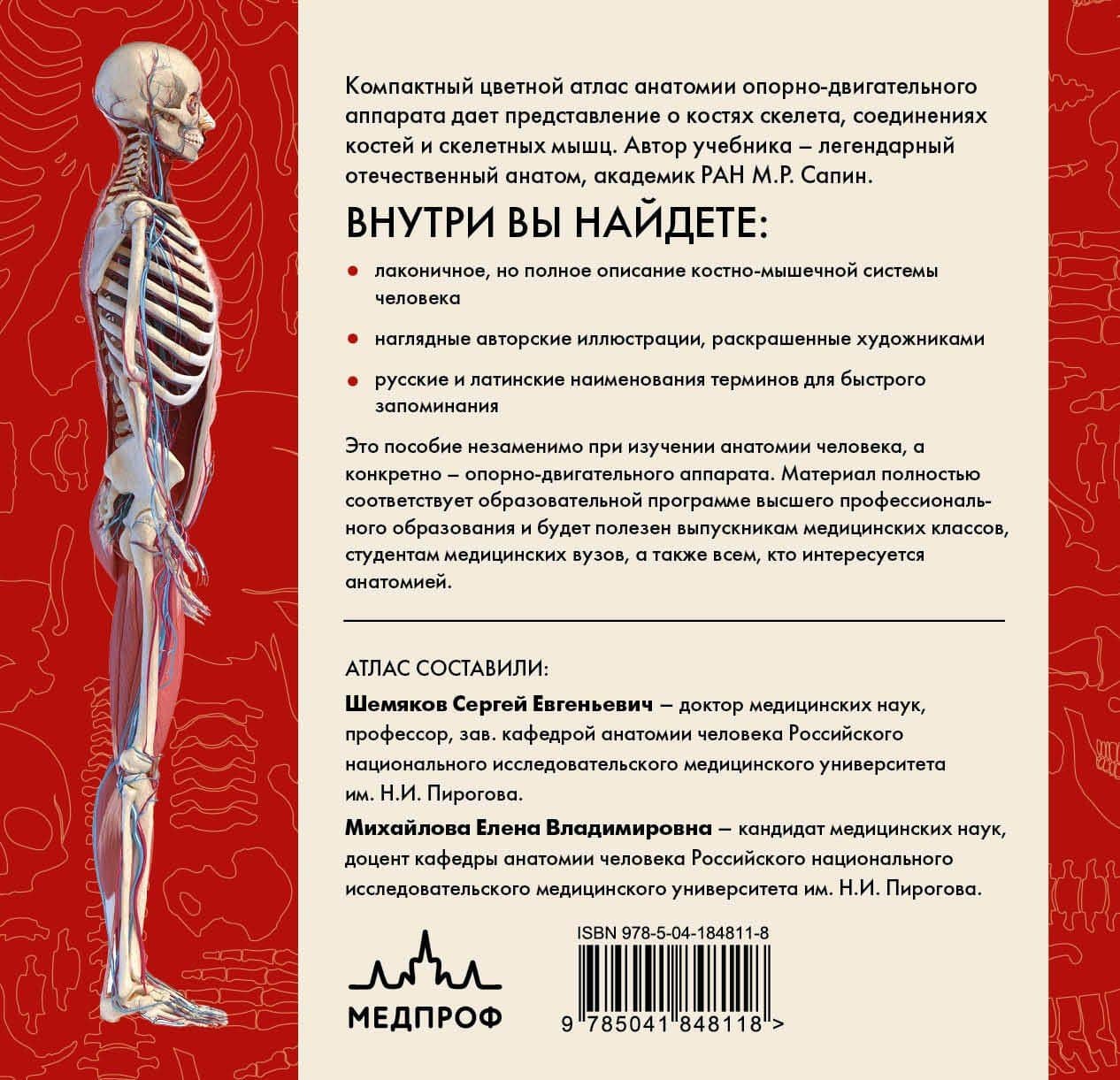 Анатомия человека. Компактный атлас. Опорно-двигательный аппарат — Михаил Романович Сапин (2)
