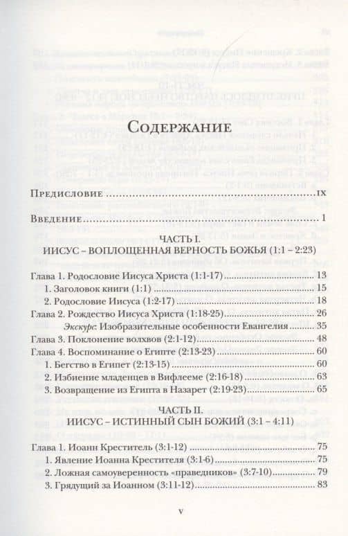 Евангелие от Матфея. Богословско-экзегетический комментарий. Том 1. Том 2 (комплект из 2 книг) — Ианнуарий (Ивлиев) Архимандрит (2)