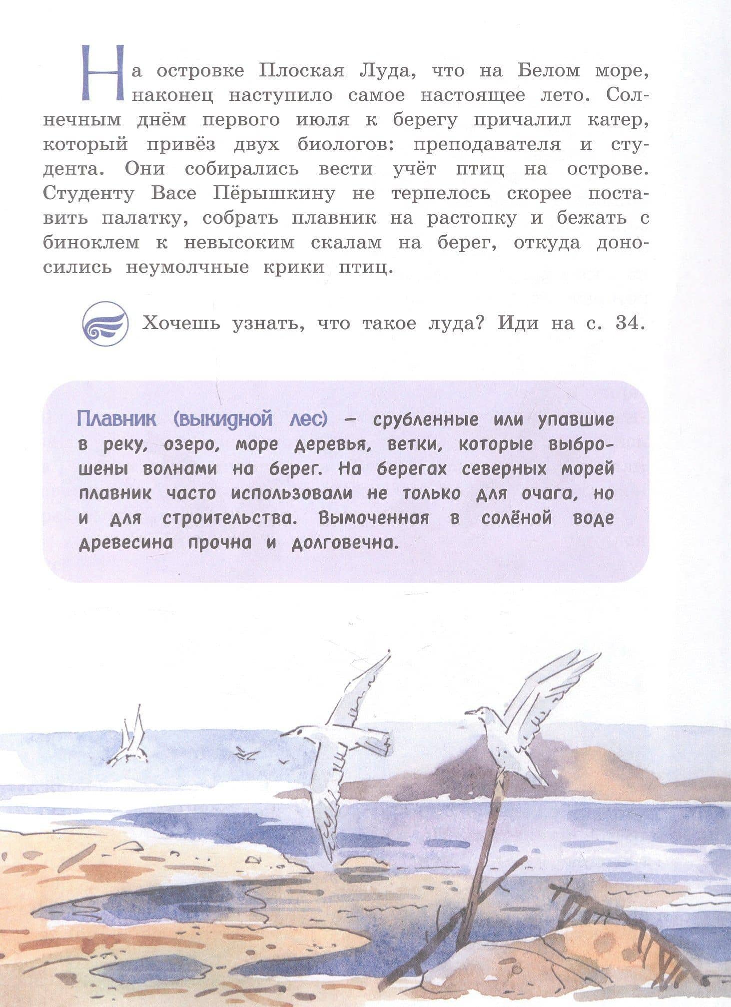 Из Арктики в Антарктику и обратно. Научно-познавательная сказка — Елена Васильевна Чудинова (3)