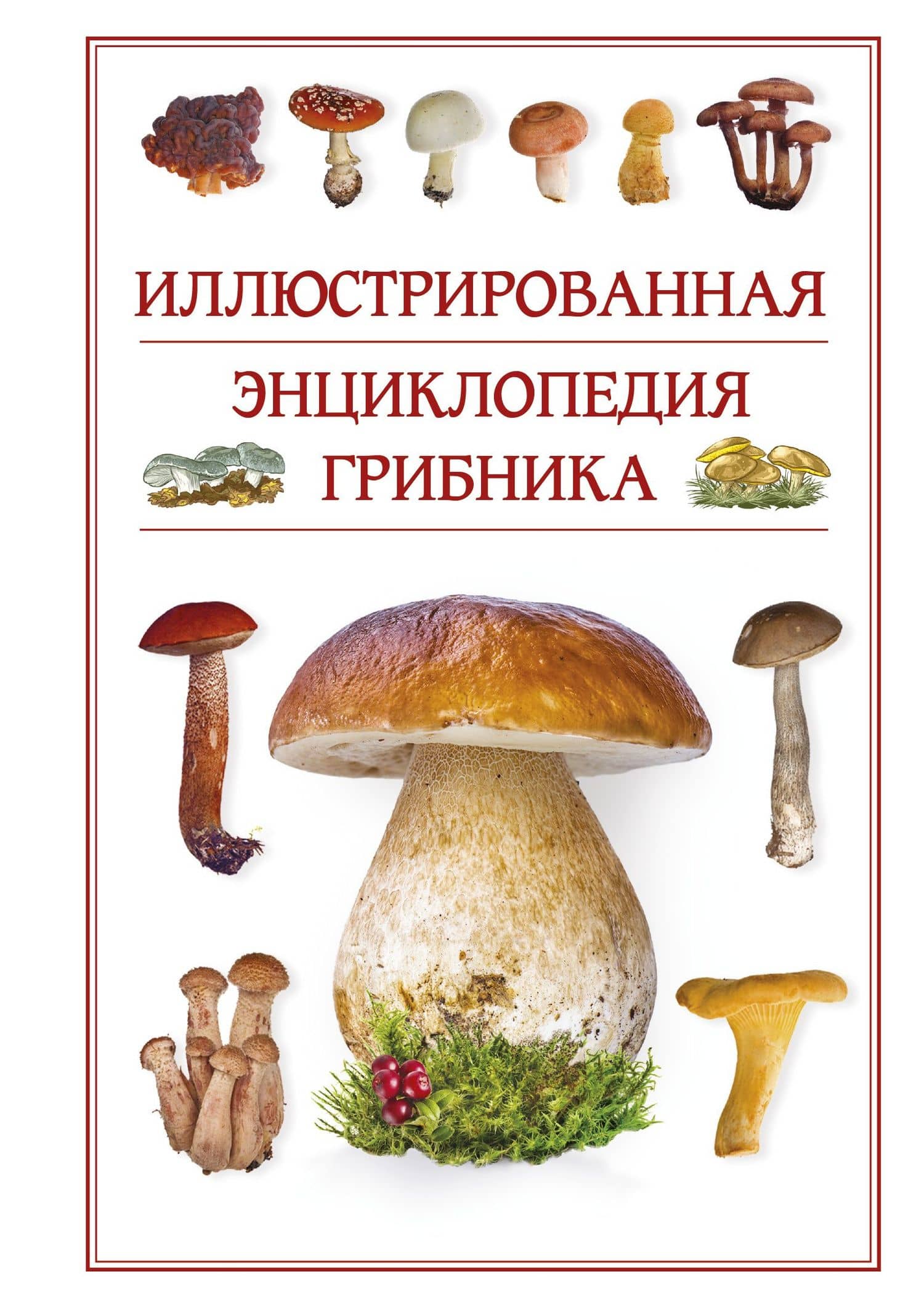 Иллюстрированная энциклопедия грибника.