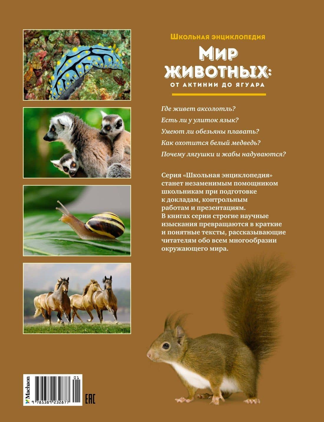 Мир животных: От актинии до ягуара (2)