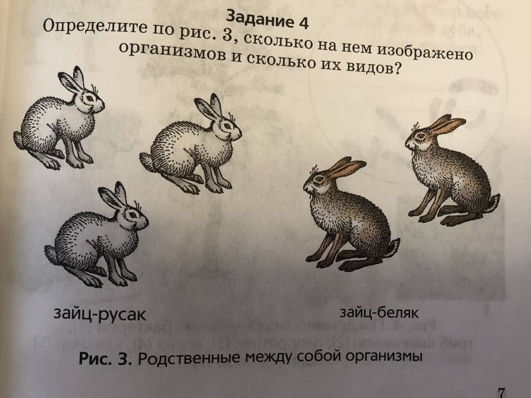 Биология. Организмы. 5 класс. Рабочая тетрадь. ФГОС — Александр Иванович Никишов (2)
