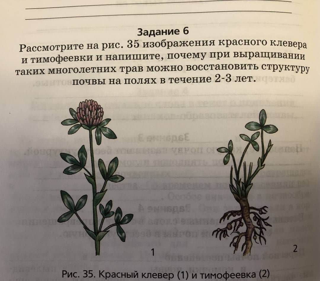Биология. Организмы. 5 класс. Рабочая тетрадь. ФГОС — Александр Иванович Никишов (3)