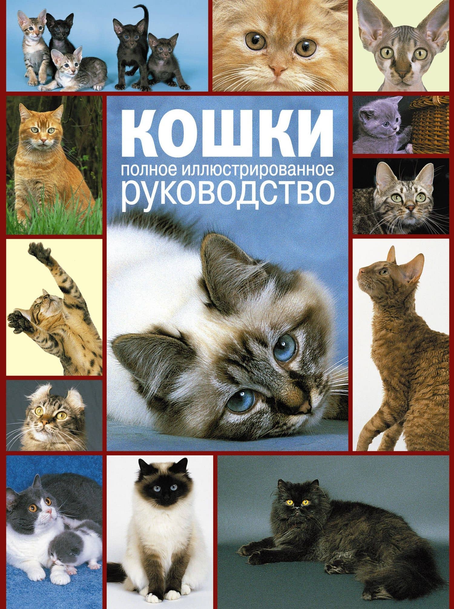 Кошки. Полное руководство — Майкл Поллард