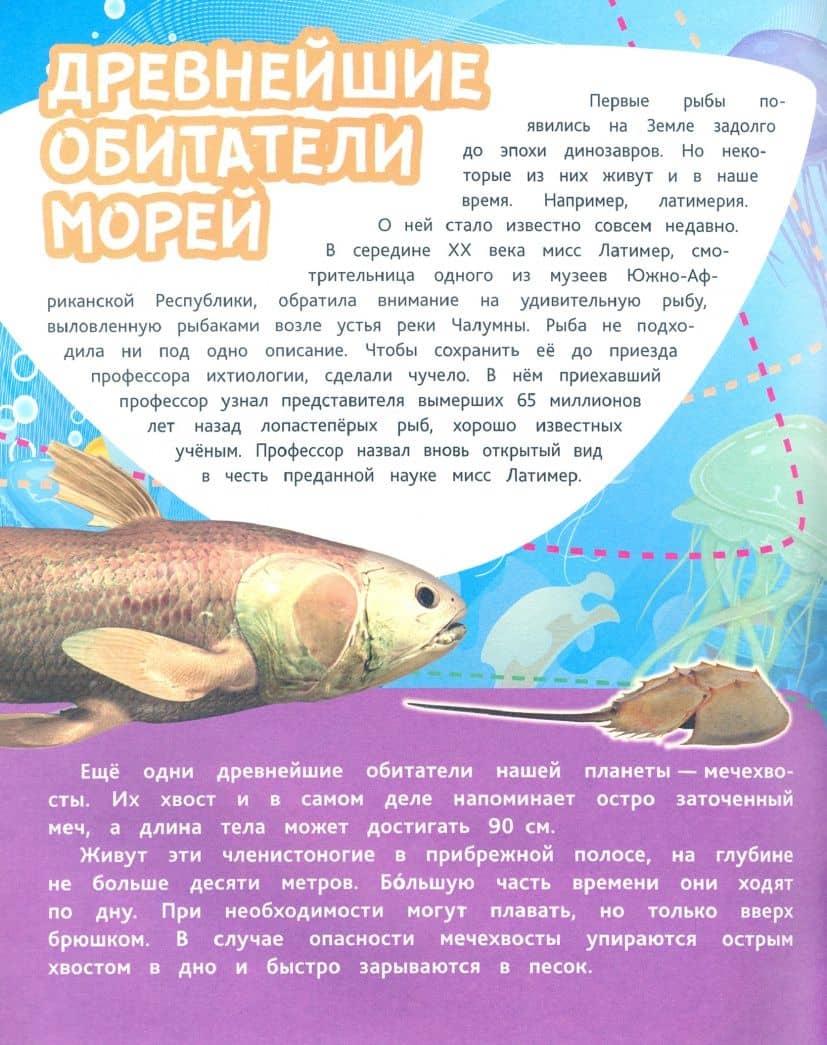 Подводные тайны. Удивительные жители морей, основы водной жизни, загадки океанских глубин. ФГОС ДО — Андреева Юлия С. (2)