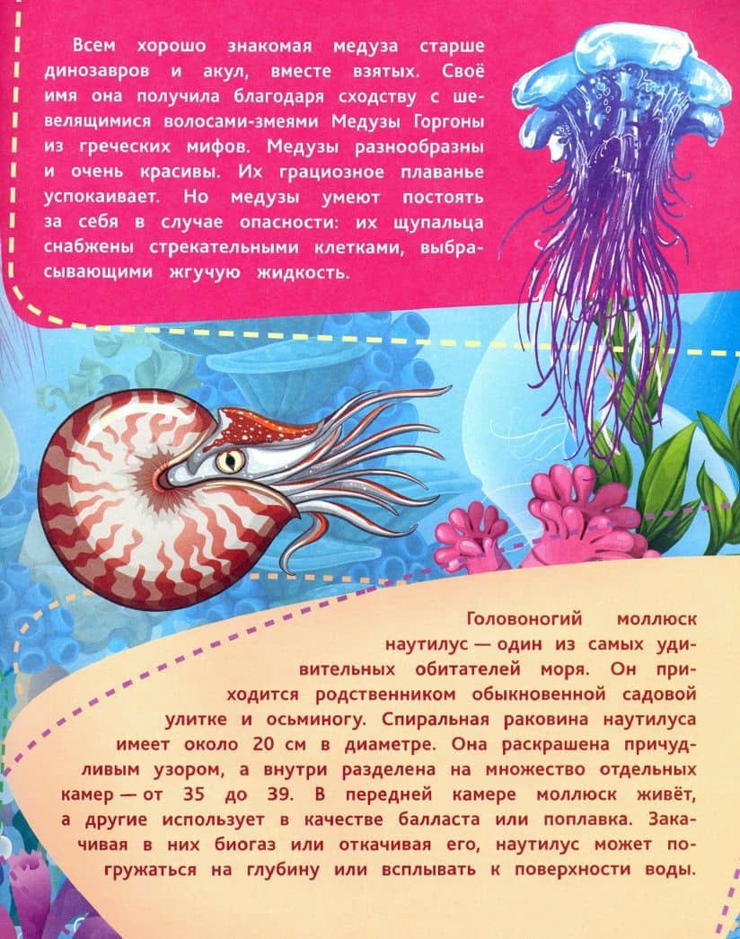 Подводные тайны. Удивительные жители морей, основы водной жизни, загадки океанских глубин. ФГОС ДО — Андреева Юлия С. (3)