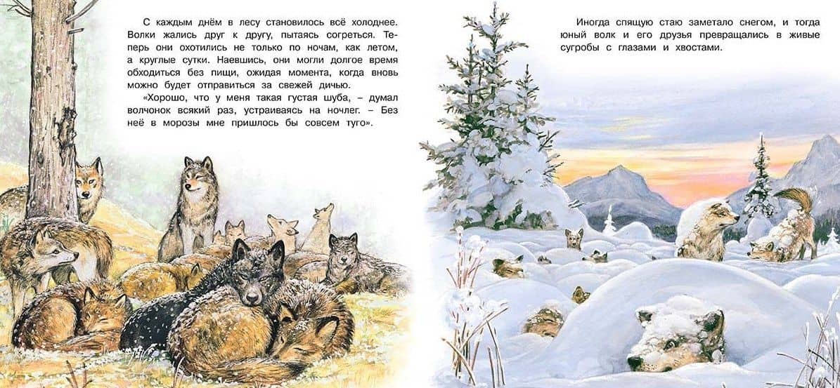 Приключения волчонка — Ирина Валерьевна Гурина (2)